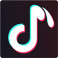 聚合入口app黑科技tiktok