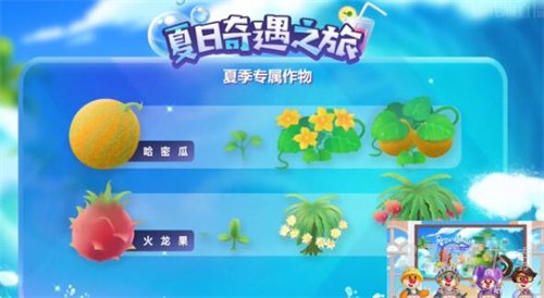 摩尔庄园,夏日限定,活动