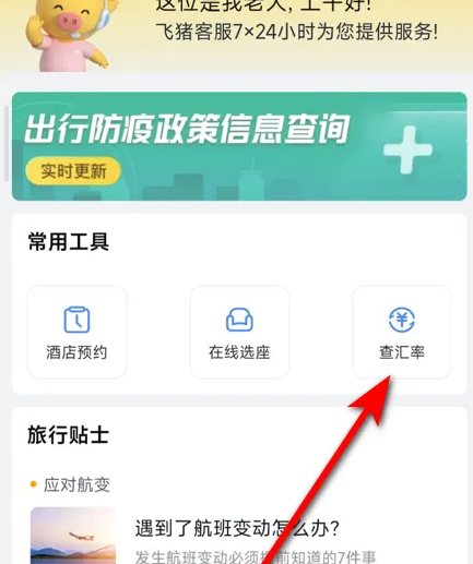 飞猪旅行如何查看汇率