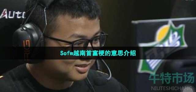 sofm越南首富什么梗