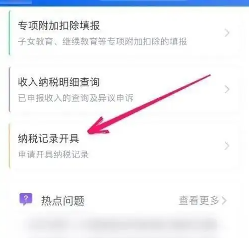 个税app怎么查询纳税记录