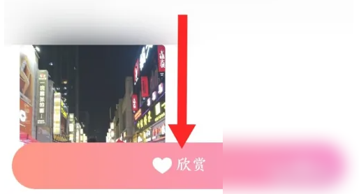 红蓝cp怎么加好友