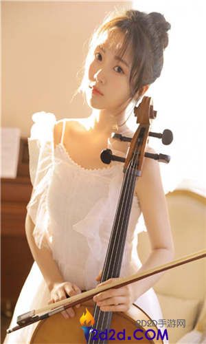 中国精品V8VPSWINDOW：永久无广告