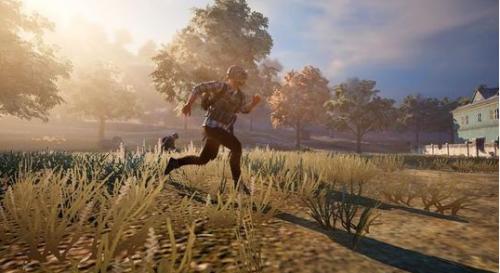 和平精英淡雅花蕊多少钱可以抽到(和平精英淡雅花蕊价格)