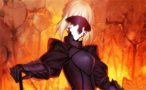 fate攻略
