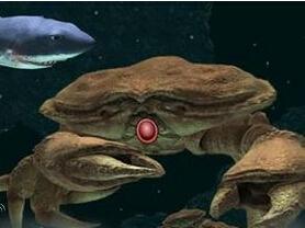 《饥饿的鲨鱼进化》打大螃蟹技巧攻略,饥饿的鲨鱼进化冰鲨怎么打大螃蟹