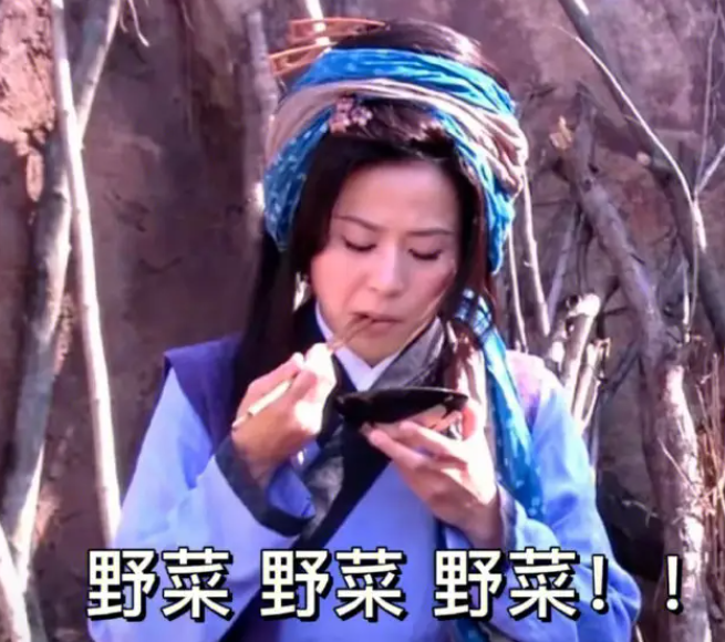 王宝钏挖野菜表情包