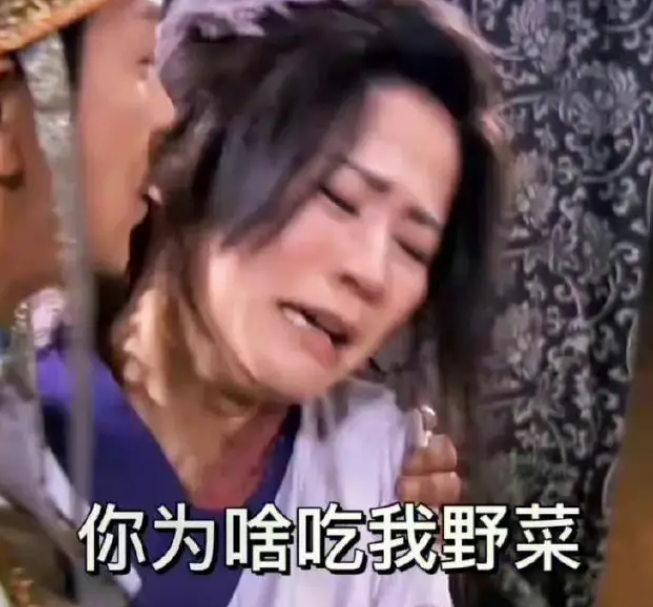 王宝钏挖野菜表情包