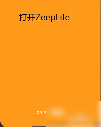 zepp