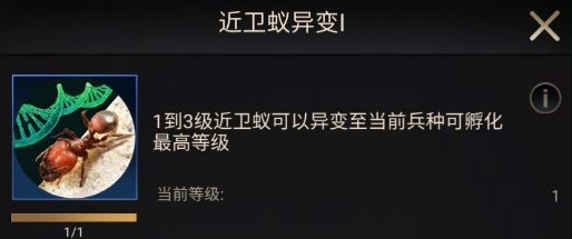 小小蚁国初期进化类型怎么选择