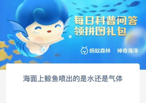 海面上鲸鱼喷出的是水还是气体