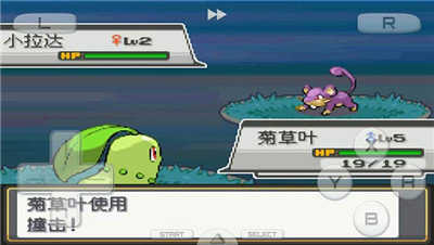 口袋妖怪心金下载