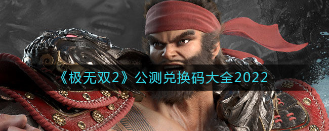 极无双2兑换码是什么