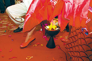 跨火盆表情包有哪些