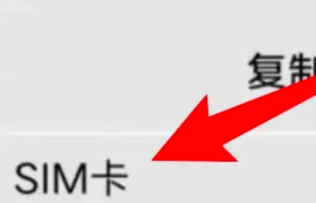 导出sim卡联系人教程分享-vivox100怎么把sim卡联系人导入手机