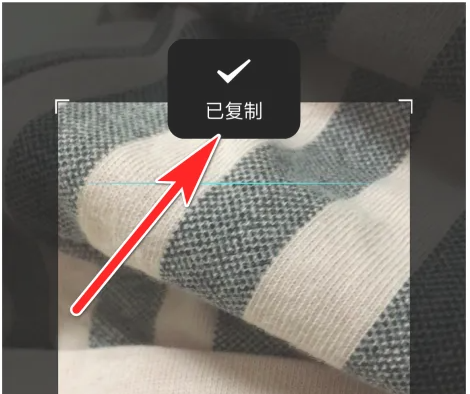 简书怎么复制文字