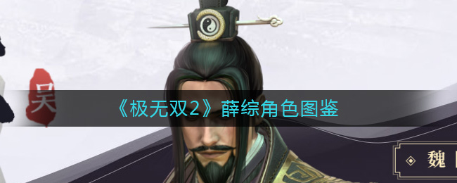 《极无双2》薛综角色图鉴-极无双2薛综怎么样