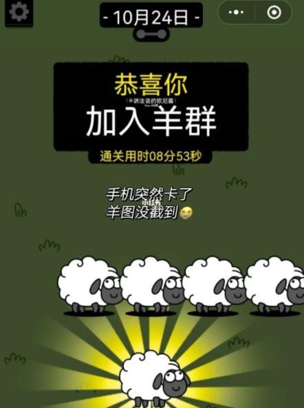 羊了个羊10月24日攻略