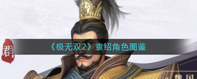 极无双2袁绍怎么样