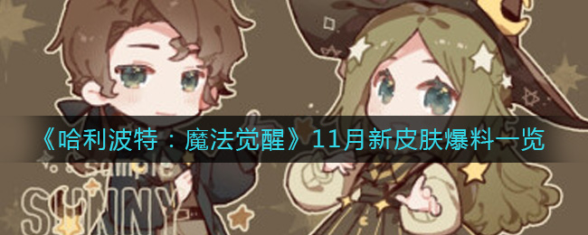 《哈利波特：魔法觉醒》11月新皮肤爆料一览-哈利波特魔法觉醒11月新皮肤有哪些