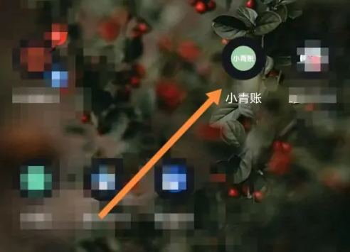 小青账app怎么使用-小青账多账本开启教程