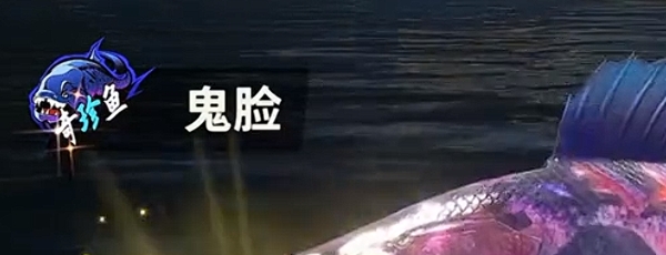欢乐钓鱼大师最稀有的鱼有什么