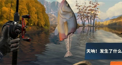 欢乐钓鱼大师锦标赛怎么拿高分