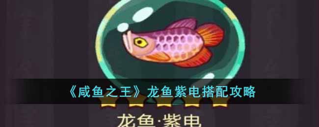 《咸鱼之王》龙鱼紫电搭配攻略-咸鱼之王龙鱼紫电怎么搭配