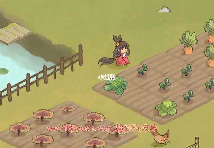 仙山小农岛屿类型一览