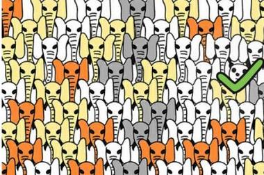 脑洞大师第52关怎么过(脑洞大师第52关通关攻略)