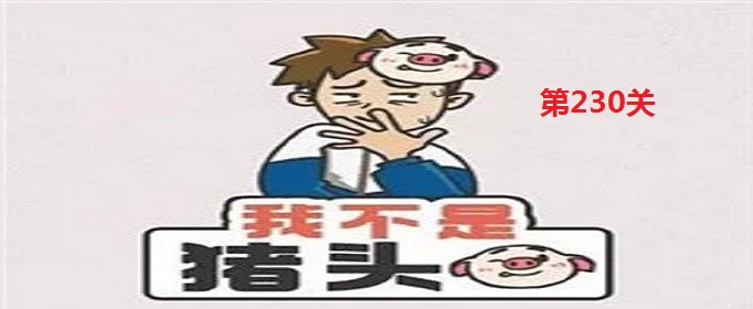 我不是猪头230答案是什么(我不是猪头230答案详解)