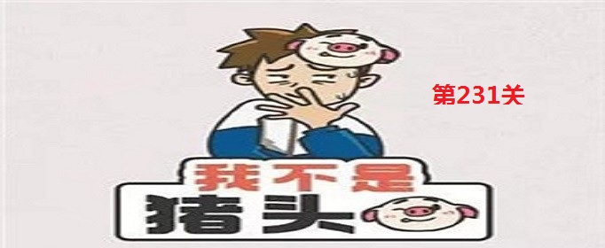 我不是猪头231答案是什么(我不是猪头231答案详解)