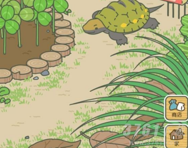 旅行青蛙乌龟不来怎么办-乌龟不来解决方法