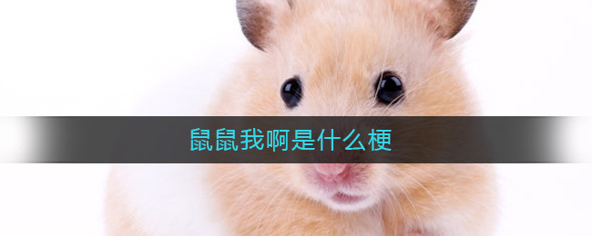 鼠鼠我啊是什么梗-鼠鼠我啊是什么梗