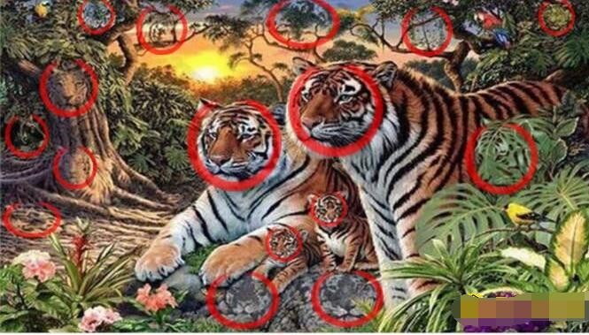 一字一句找到图中所有老虎怎么过