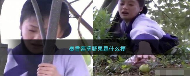 秦香莲摘野果是什么梗-秦香莲摘野果是什么梗
