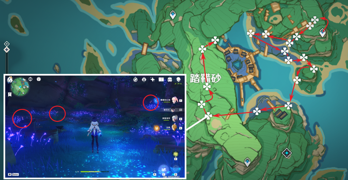 原神3.2鸣草收集路线是什么