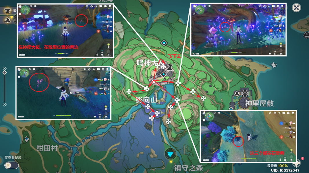 原神3.2鸣草收集路线是什么