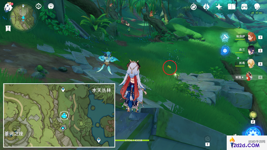 原神须弥动物怎么抓