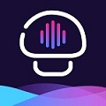 成版年https花椒app
