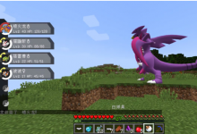 我的世界：勇吉拉进化攻略