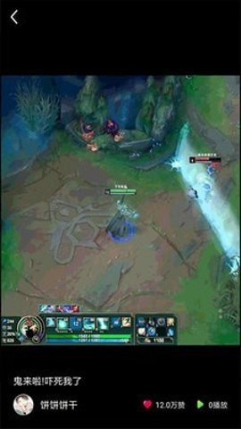 猫咪小视频下载