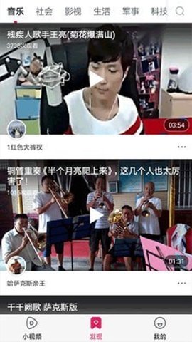 猫咪小视频下载