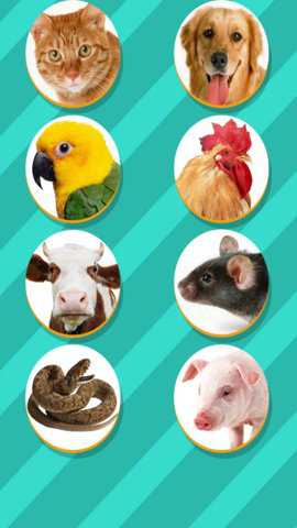 宠物对话翻译器下载