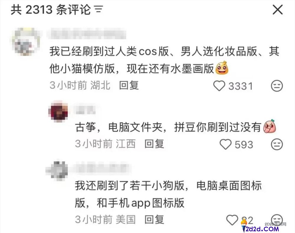 2025最后一个爆梗,“萝卜纸巾猫”事实“真棒”在哪？