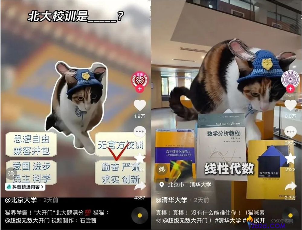 2025最后一个爆梗,“萝卜纸巾猫”事实“真棒”在哪？