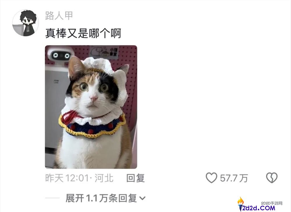 2025最后一个爆梗,“萝卜纸巾猫”事实“真棒”在哪？