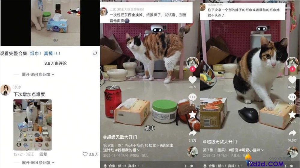 一只不会答题只会蒙的“笨猫”,凭什么承包全网笑点？