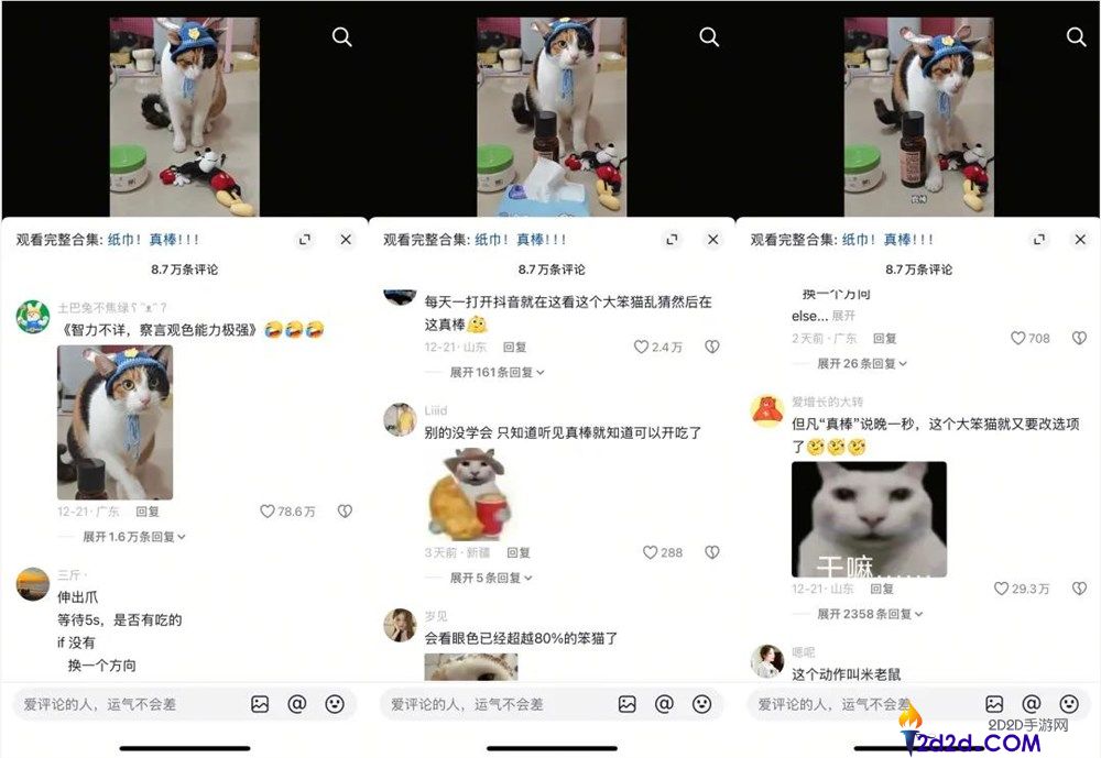 一只不会答题只会蒙的“笨猫”,凭什么承包全网笑点？
