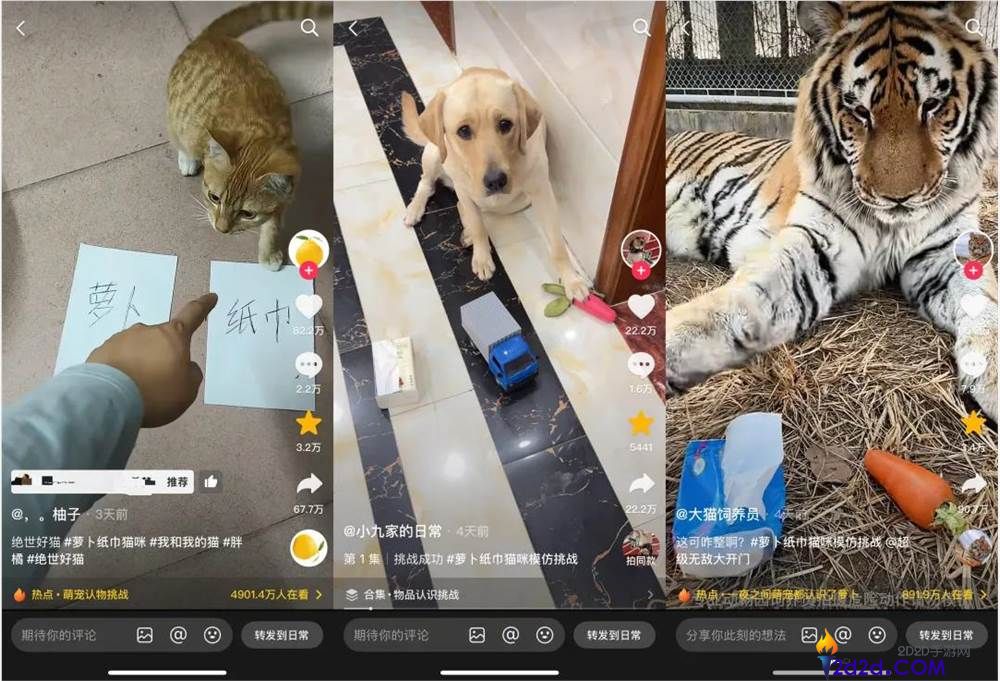 一只不会答题只会蒙的“笨猫”,凭什么承包全网笑点？